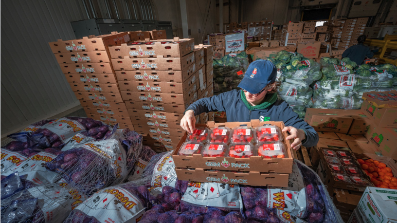 Sharing Excess team member sorting rescued strawberries amid pallets of produce